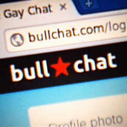 logo bullchat